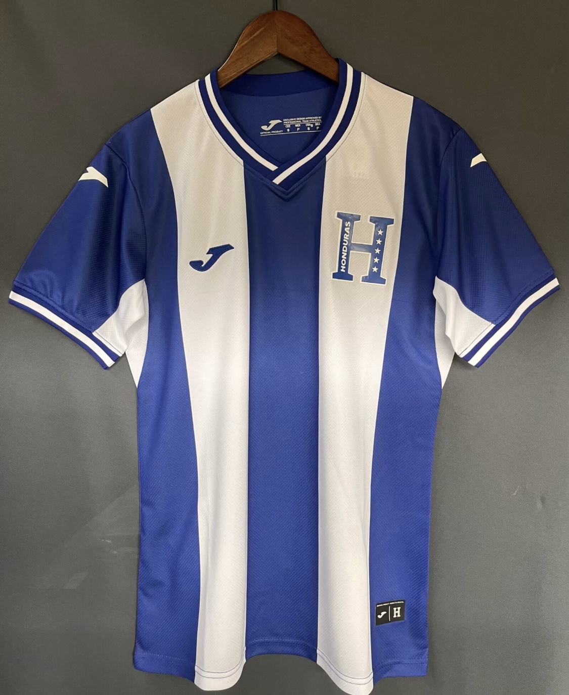 Camiseta Honduras 2024 Primera Equipación 